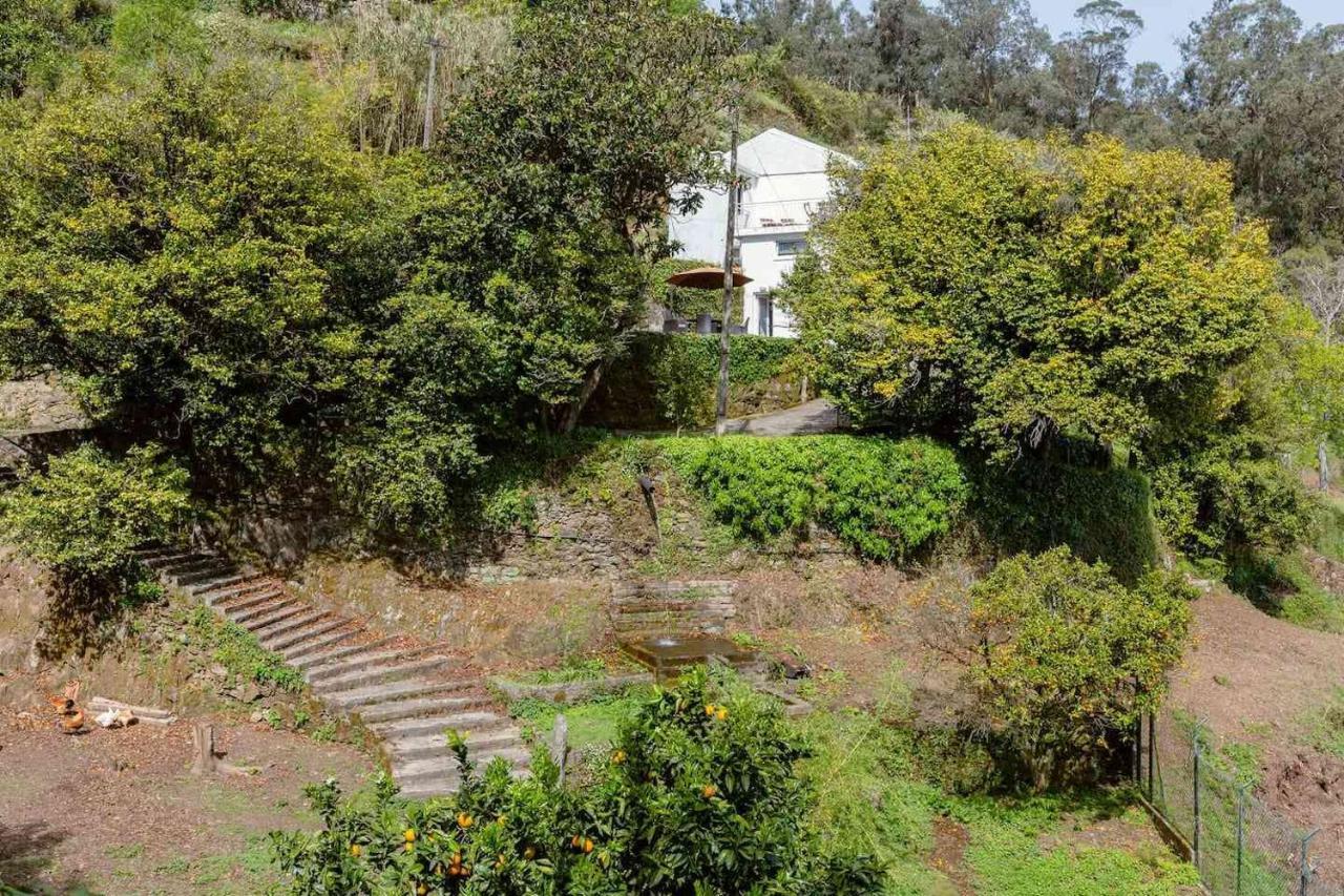 Quinta Da Agraceira Casa Do Caseiro Вила-Нова-ди-Гая Экстерьер фото